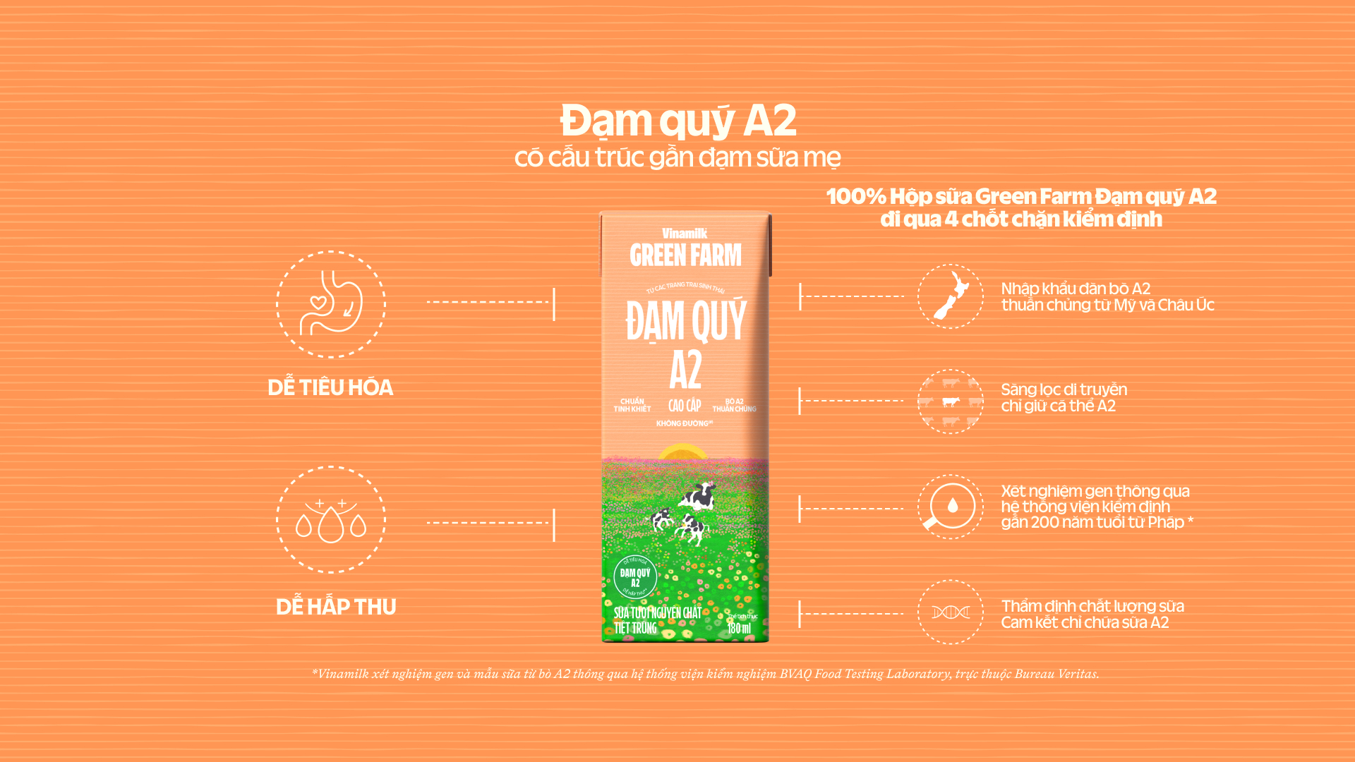 Product Info graphic