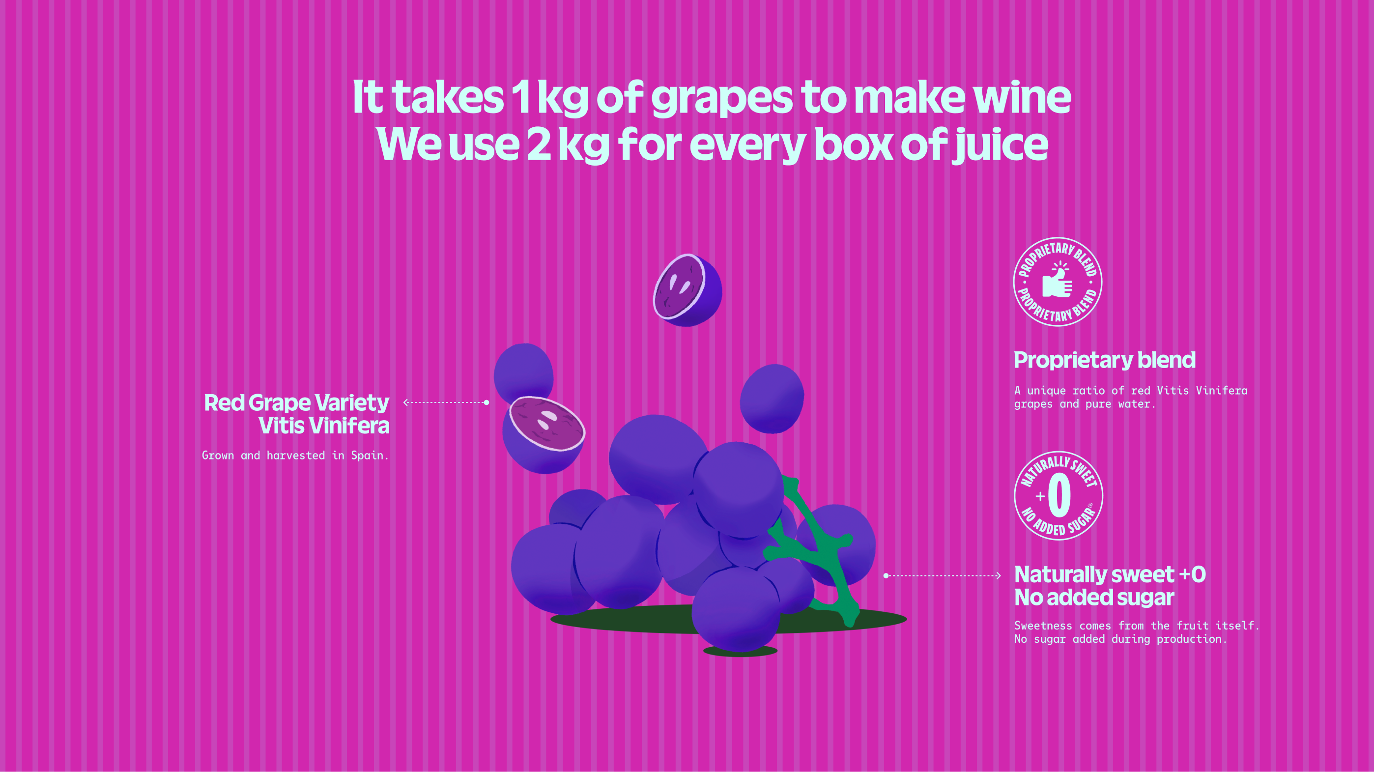 Product Info graphic