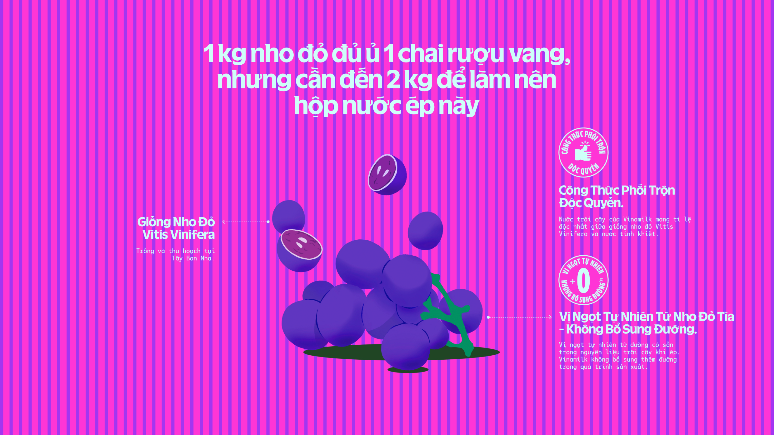 Product Info graphic