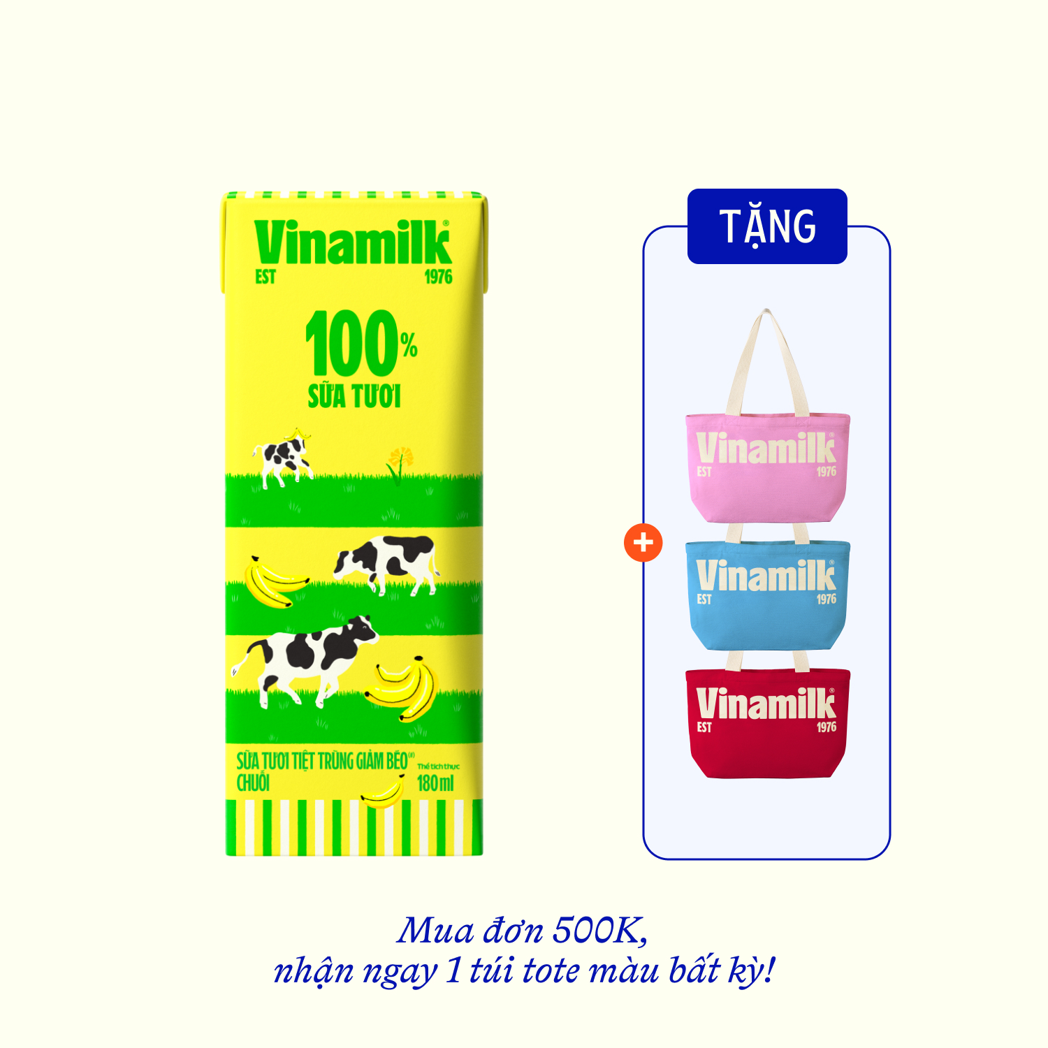 Thùng 48 hộp