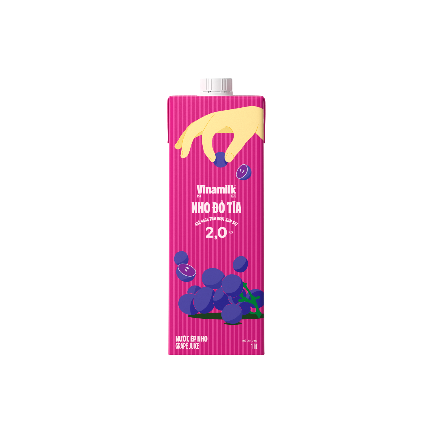Thùng 12 hộp