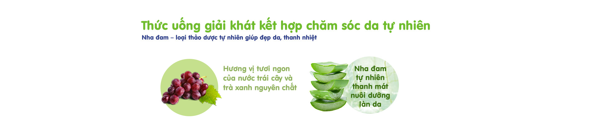 Nước Nha Đam Vfresh