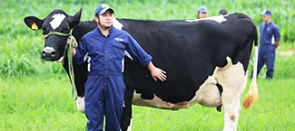 Completed acquisition of Moc Chau Milk Completed acquisition of Moc Chau Milk