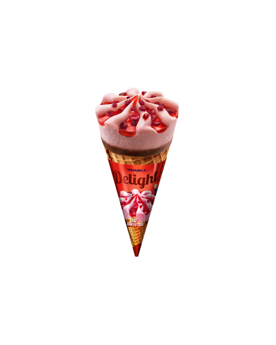 Delight Ice Cream Cone Strawberry Cranberry 110ml