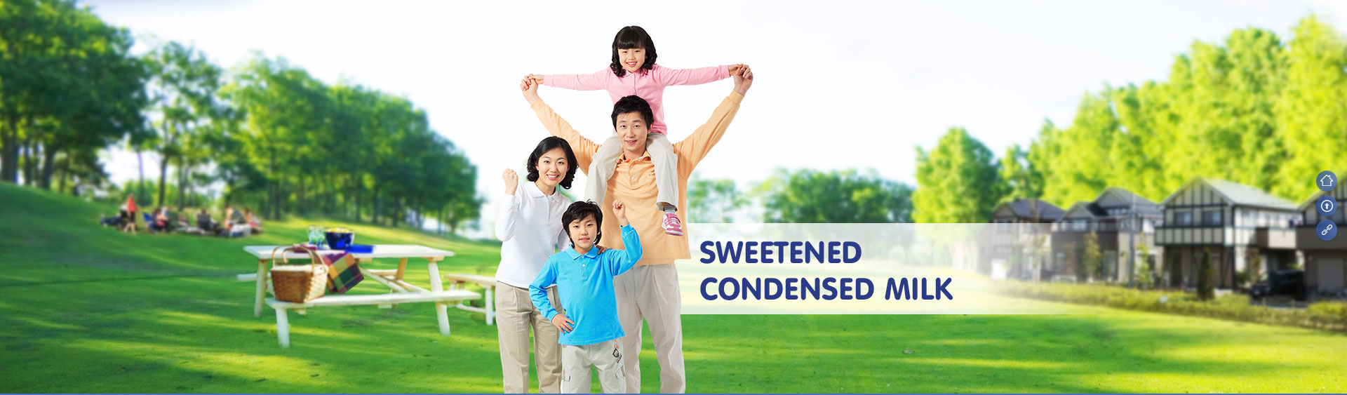 Condensed Milk Condensed Milk
