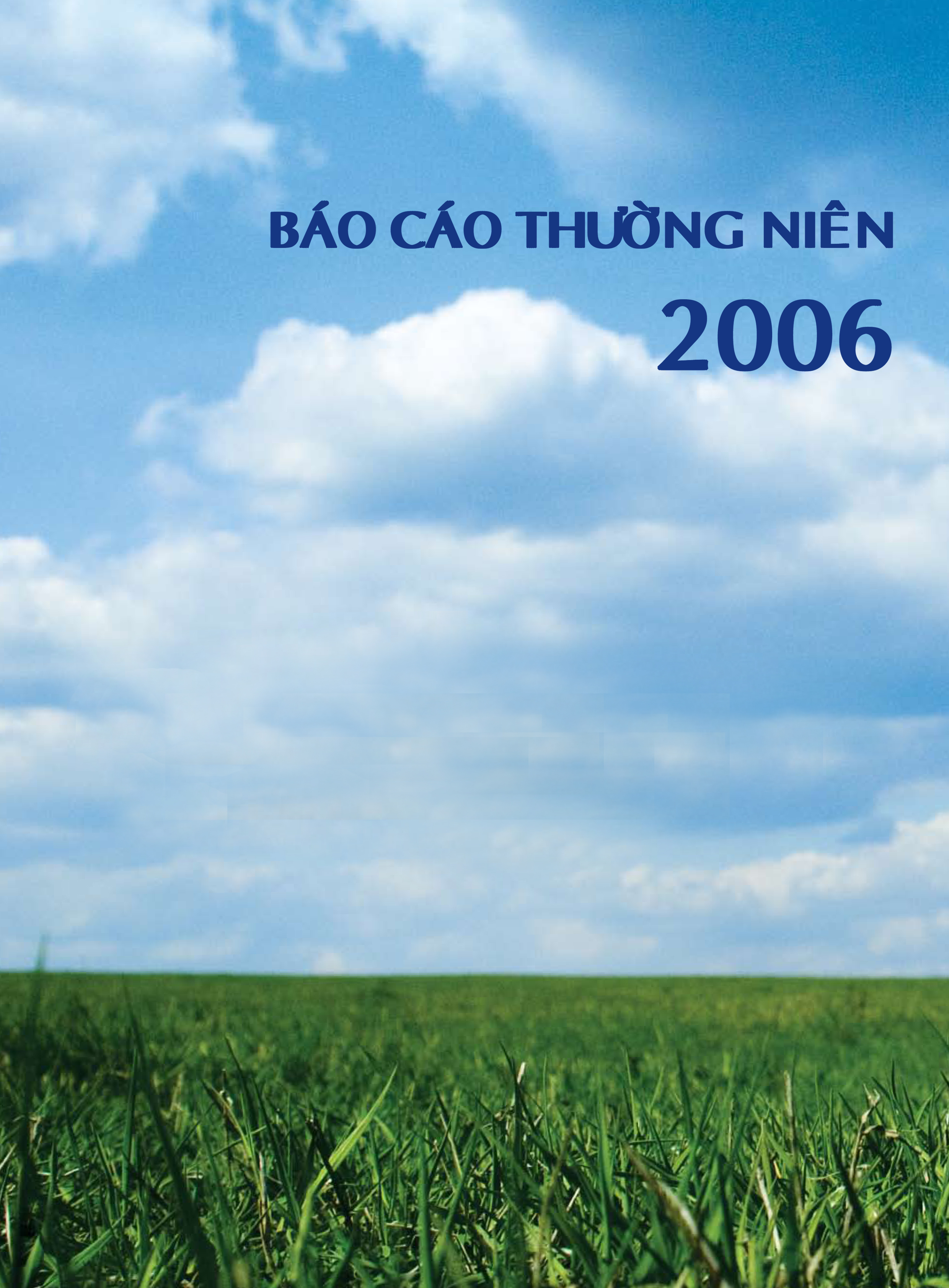 Báo cáo thường niên 2006