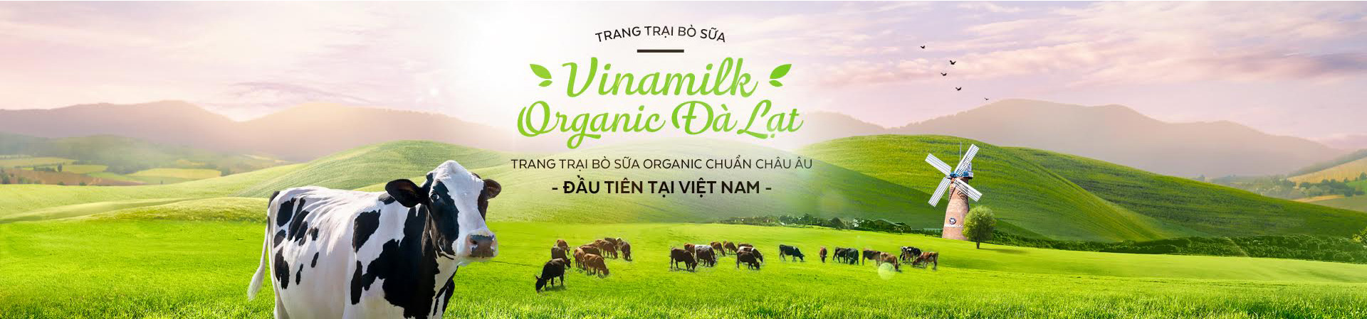 Vùng nguyên liệu Vùng nguyên liệu