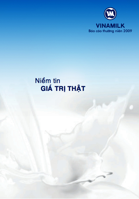 Báo cáo tài chính 2009