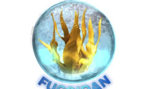 Fucoidan là gì và có công dụng thế nào với sức khỏe?
