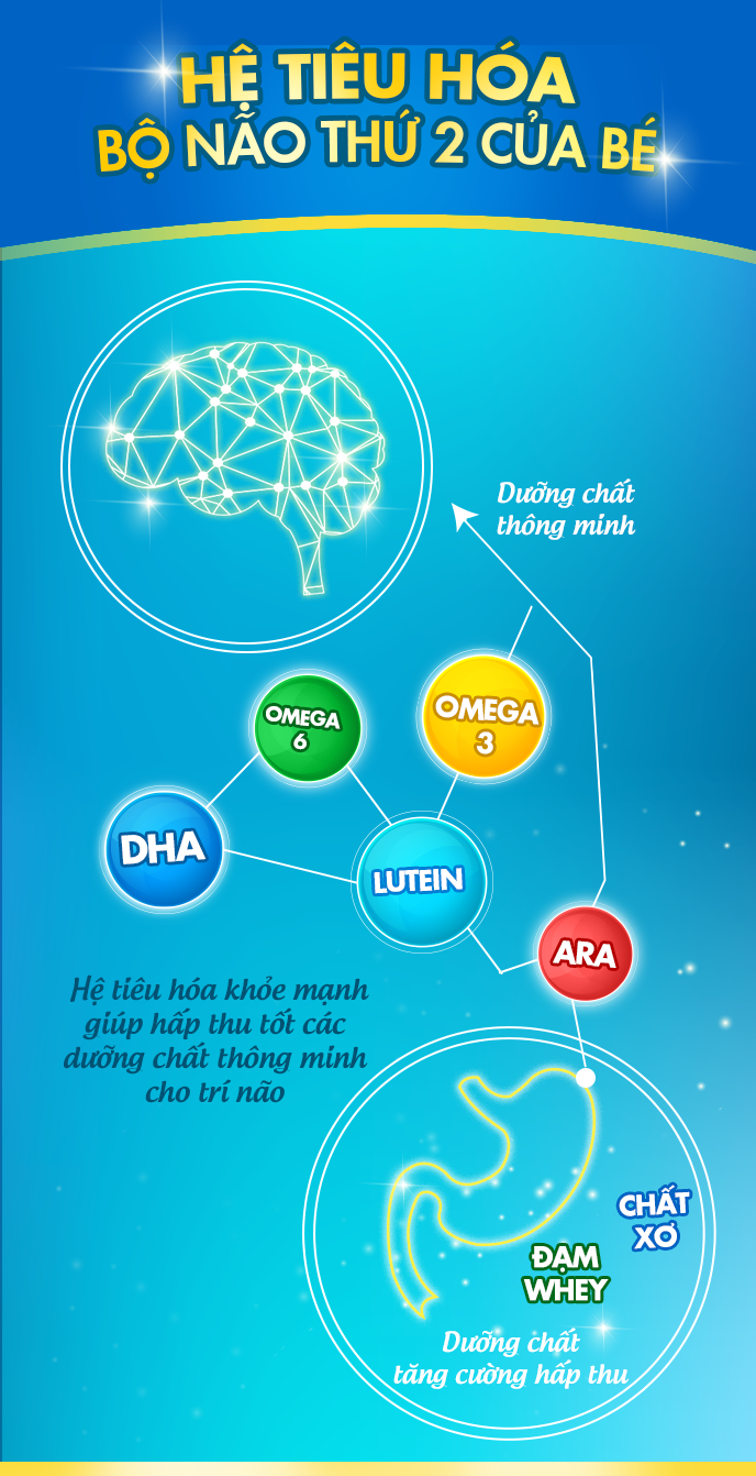 Hệ tiêu hóa – “Bộ não thứ 2” của bé khỏe mạnh giúp hấp thu các dưỡng chất thông minh tốt cho sự phát triển trí não