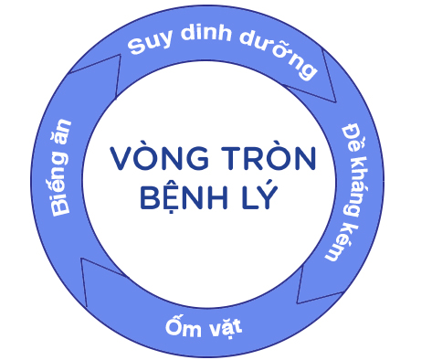 Vòng tròn bệnh lý của con: SDD -> Đề Kháng Kém -> Ốm Vặt -> Biếng ăn