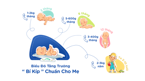 Tham khảo ngay biểu đồ để xem cân nặng của bé yêu đã đạt chuẩn chưa mẹ nhé!