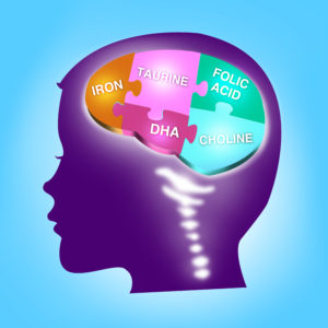 Choline và DHA đóng vai trò quan trọng trong sự phát triển trí thông minh ở bé