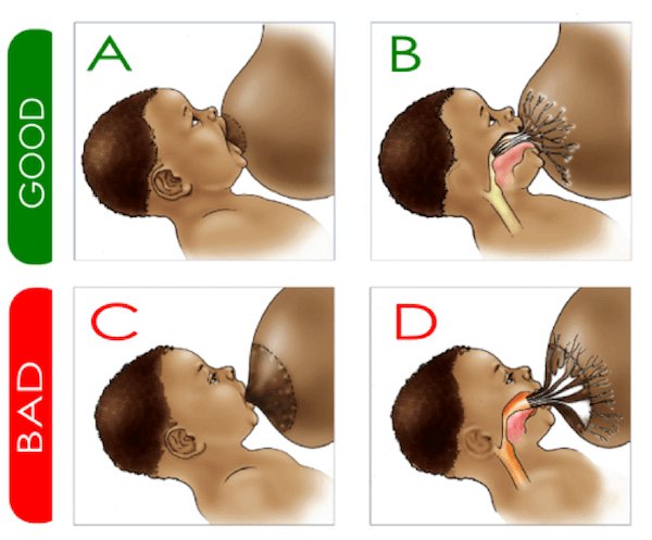 Trước khi tìm hiểu về trẻ sơ sinh uống sữa gì tốt nhất thì mẹ cần biết về cách cho bé bú