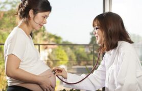 Quá trình phát triển của thai nhi hình thành theo từng tháng tuổi