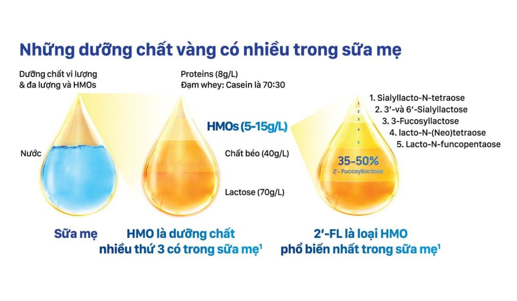 Dưỡng chất HMO dưỡng chất nhiều thứ 3 trong sữa mẹ, hỗ trợ tiêu hóa cho trẻ.