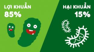 loikhuanhaikhuan 2