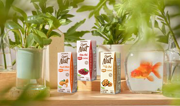 Giảm cân lành mạnh với sữa hạt