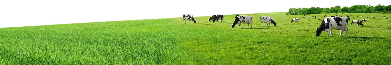 Sữa tươi Vinamilk