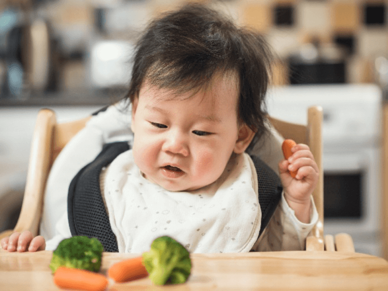 Các bé biếng ăn thường ăn rất ít rau cũng như các thực phẩm giàu dinh dưỡng khác Các bé biếng ăn thường ăn rất ít rau cũng như các thực phẩm giàu dinh dưỡng khác